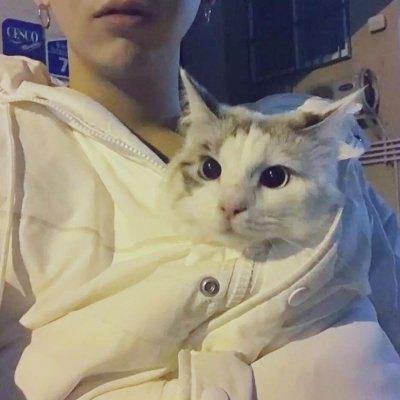 猫头像男