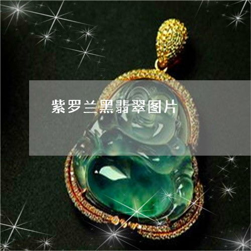 惊呆所有人紫罗兰黑翡翠图片紫罗兰翡翠好不好2023已更新推荐今日热点翡翠栏目