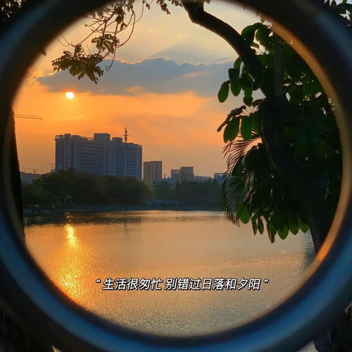 2023高清唯美小清新风景头像