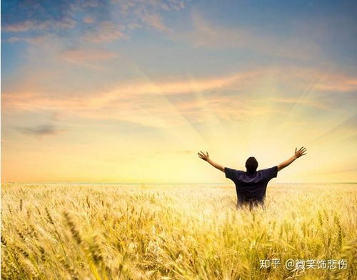 一定要知道这几个互联网推广渠道您都了解吗