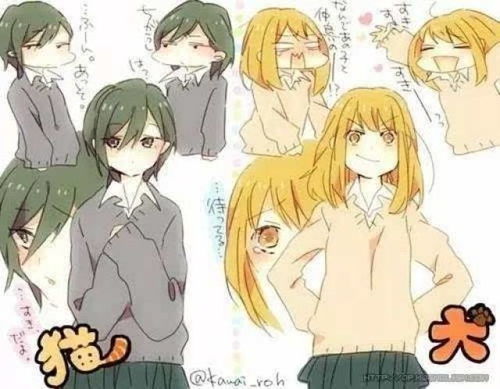 猫系女友和犬系女友有什么区别推特爆火漫画叫你恋爱都不敢谈