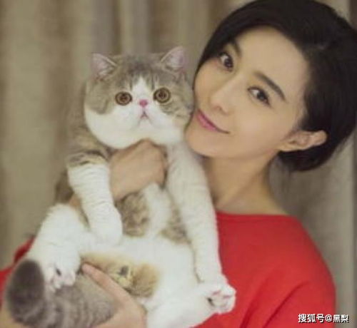 你知道吗男人更喜欢的,其实是猫系女人