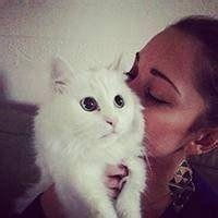 手绘抱猫头像唯美微信头像图片大全