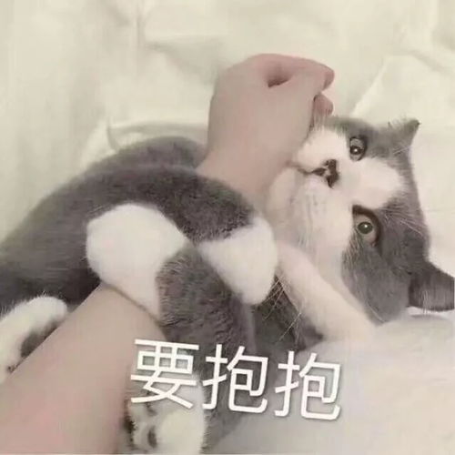 有什么适用于和老公男票撒娇的可爱表情包