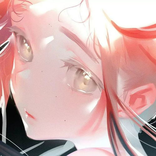 精致丨高级感丨动漫女头