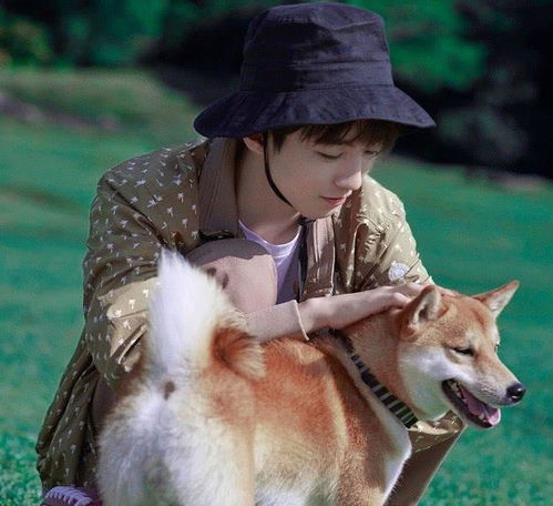 犬系少年王俊凯,抱着宠物狗拍写真,网友被这眼神温柔哭了