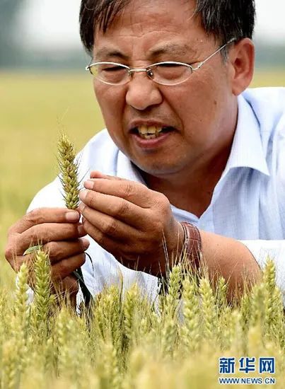 数据看中国纪录片里的中国农业,看完才知道,满足14亿人口腹之欲是怎样的壮举