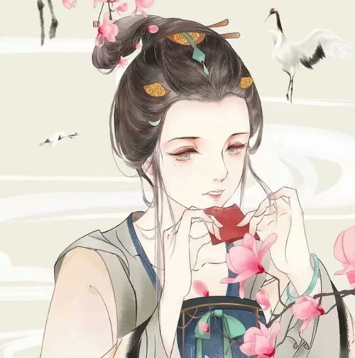 风月场所又如何作者丢了一只龙