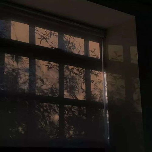 温暖治愈系图片