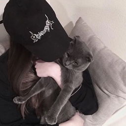 20求一情侣头像女生部分,男生的是抱着一只猫,上图
