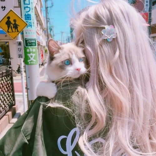有没有女生抱猫的头像呀一定要无水印的那种噢