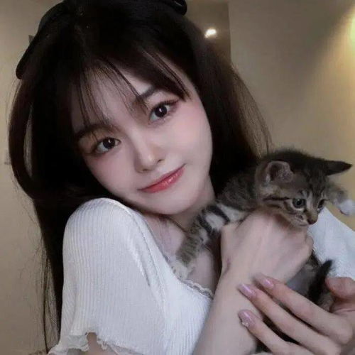 头像图片丨女生头像丨可爱的猫系女头1214