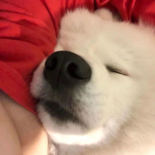 钟意高质量的ins头像