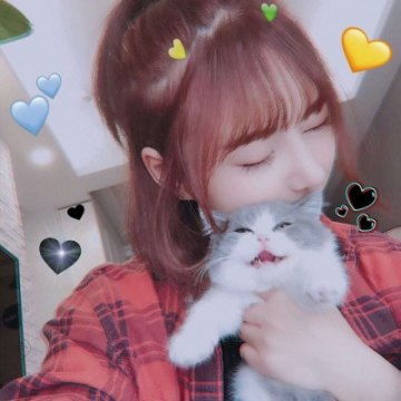 女头韩系高冷抱猫高冷女生抱猫头像