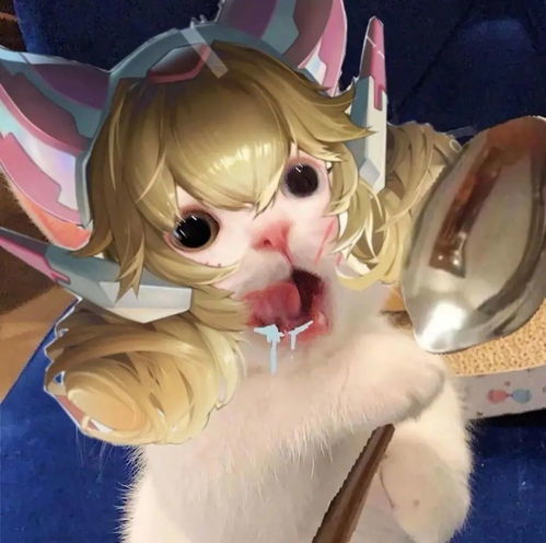王者荣耀猫头第37期小乔猫咪女生头像,女孩子最喜欢干饭什么的啦