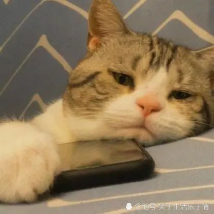 2020最温暖的诗意