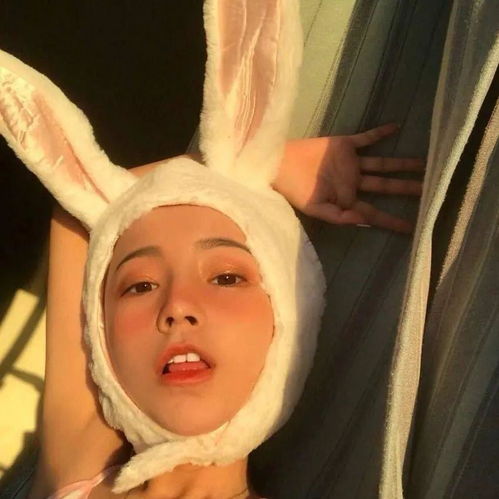 有没有橙色或者橘色系的头像呐壁纸也可以