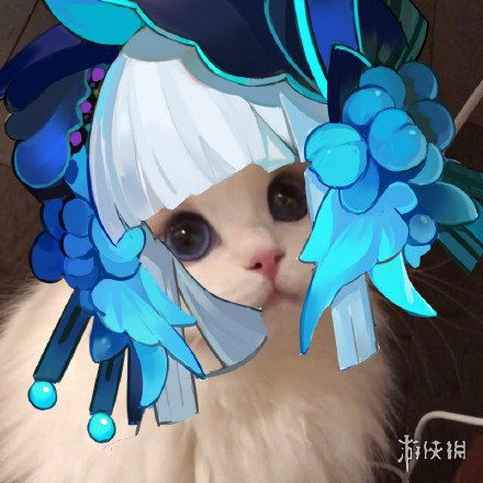 阴阳师猫咪接头头像大全