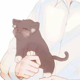 动漫男头