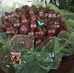 他走了背景图火了我终于失去你了,终于又是我一个人了