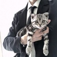 愿望交换事务所主播电台网易云音乐