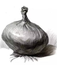海城消息通讯网静物素描不会衣服褶皱不会秘诀都在这里