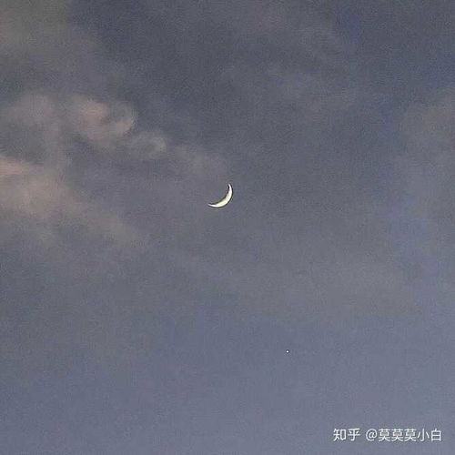 网易云比较丧的头像