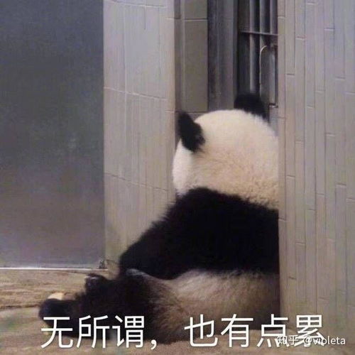 怎么看待r1se成员接二连三出事问题
