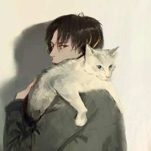 轻抚怀中猫,温柔养猫人动漫手绘养猫男头