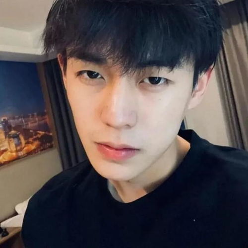 女孩子很难不爱的高级感小众男头