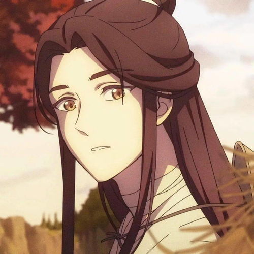 头像精选
