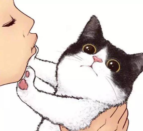 猫系女友头像动漫异性