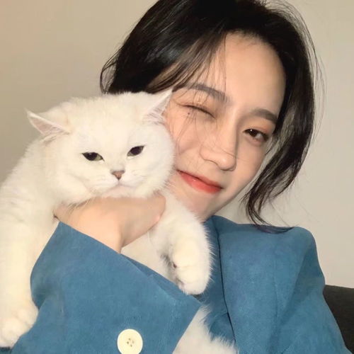 抱宠女头四在一起都不快乐,分开有什么难过的