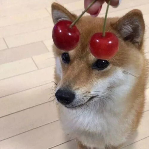 可爱萌系头像