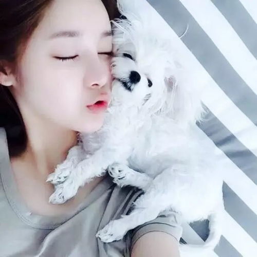 喜欢的女头呀