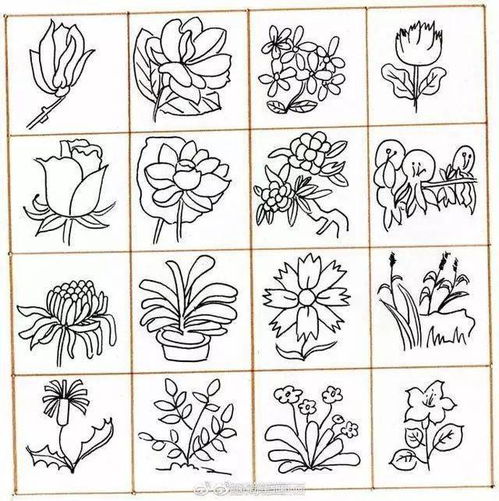 教程,黑白简笔画植物素材合集