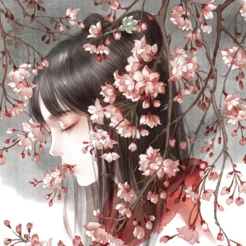 个性欧美丨白边丨古风头像