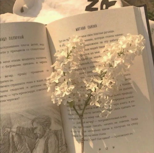 治愈系头像简约文案