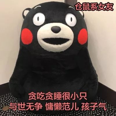 各种动物系女友,请对号入座