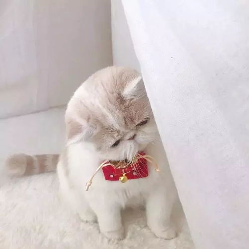 谁不是独自一人来这人世间走一遭