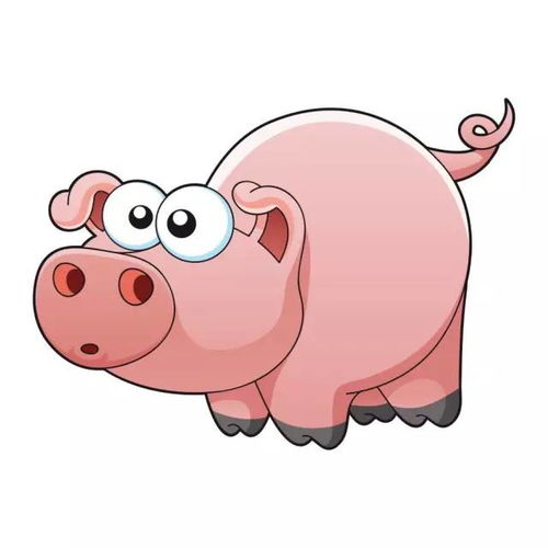 12生肖一生有多少福气你知道吗看看你的福气如何