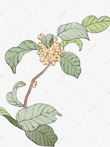 花草植物绿色冷色系卡通手绘风花草免抠素材图片免费下载千库网