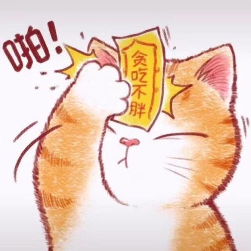 分享几只大猫猫uu