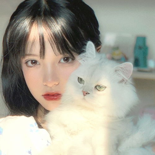 帅哥美女和猫合照,谁顶得住啊尖叫
