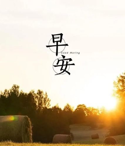清新绿色ins壁纸一眼万年ins干净护眼绿色系壁纸