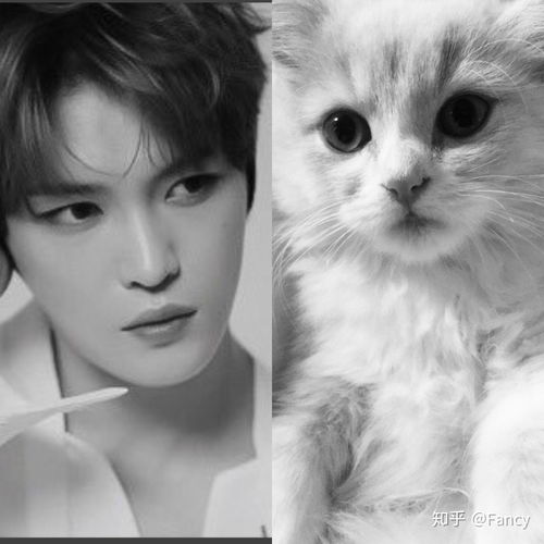 猫系长相女生头像