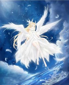 12星座专属古风奇迹暖暖,射手座炽羽凰飞,巨蟹座洛水兰艾