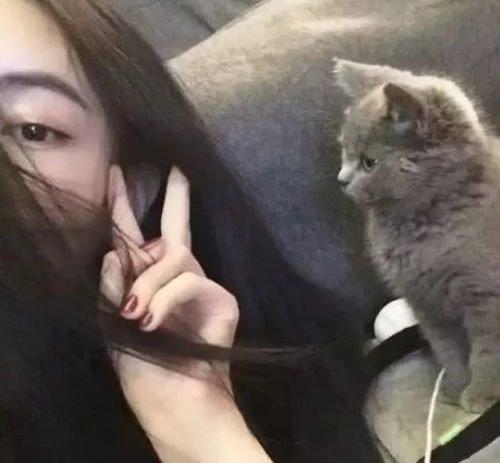 让女生喜欢的男生头像