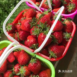 电话,地址,价格,营业时间