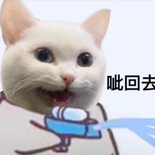 情头除了夸女生漂亮可爱还能夸什么